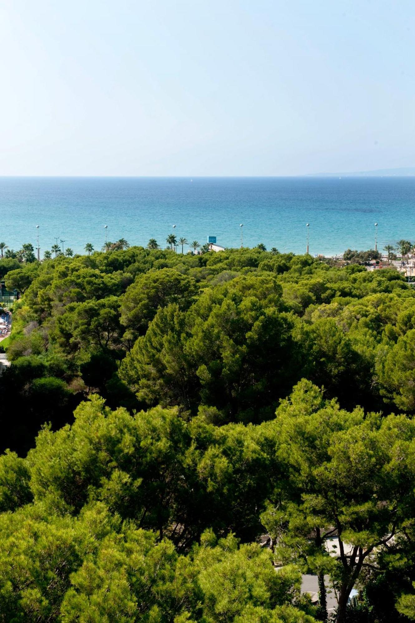 Grupotel Taurus Park
